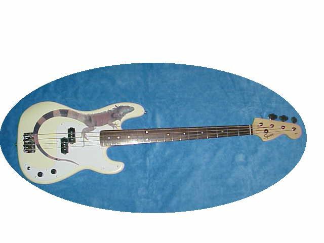 http://www.cooliguanastuff.com/Bass.jpg