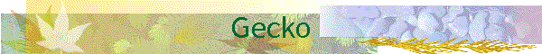 Gecko